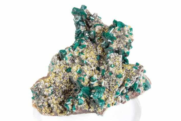 Vibrant Dioptase and Mimetite on Dolomite - N'tola Mine, Congo #380030
